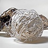 Cocoons, detail