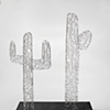 Saguaros