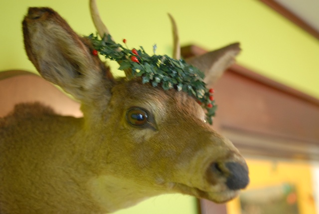 Doe