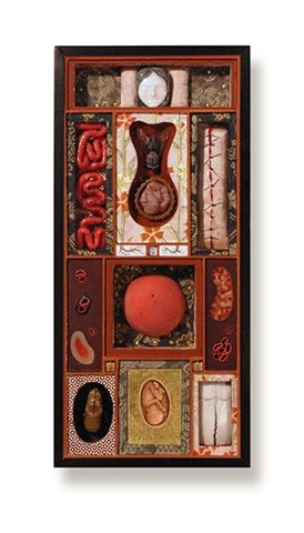 Anatomica
