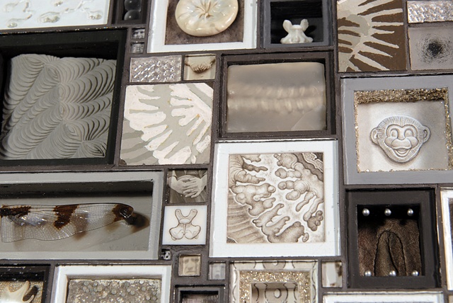 Specimens of Gray (detail)