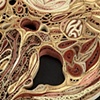 Head I (detail)