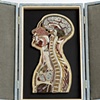 Head and Torso