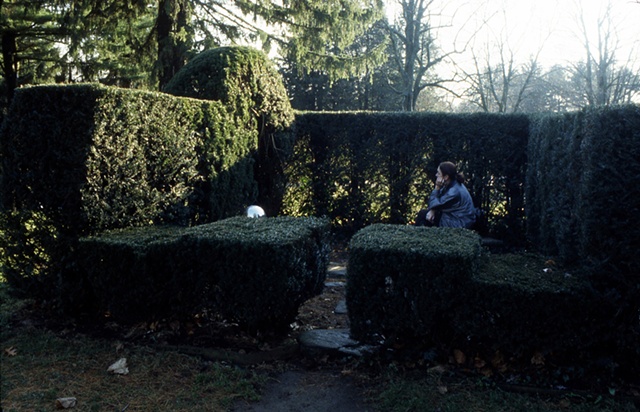 Three Gardens