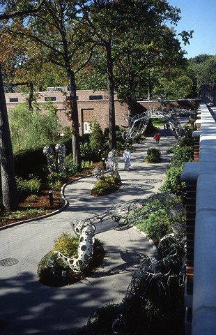 Topiary - A Twenty Year Project
