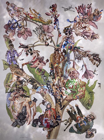 Dominique Paul, Merian, photography, collage, environment, male body, transformation, metamorphosis