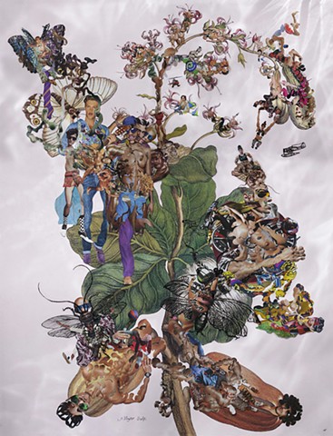 Dominique Paul, Merian, photography, collage, environment, male body, transformation, metamorphosis