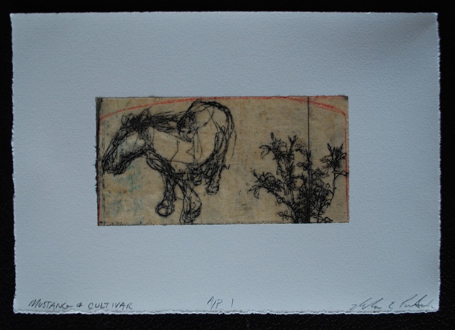 intaglio print by wyoming printmaker