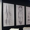 WILD CHILD 
Exhibition Photo
