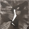 Kika Kardai
Untitled 2011