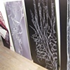 WILD CHILD 
Exhibition Photo