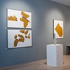 Tom Lollar
Exhibition Photo