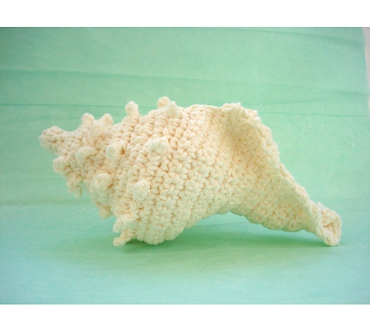 Conch