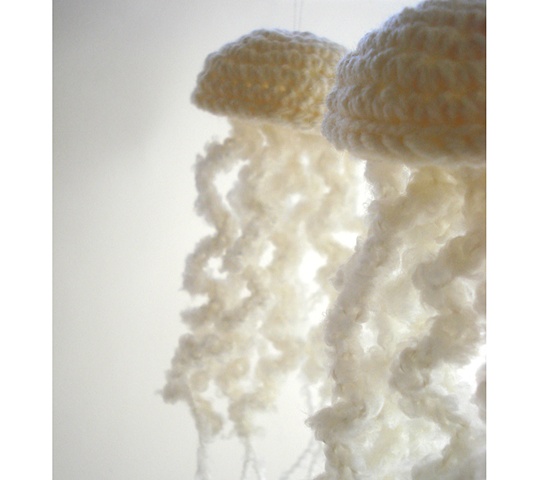 Jellyfish