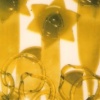 Glassroots #1
