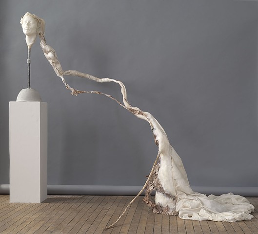 Vestige 1