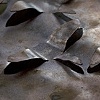 grounded (study)