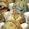 mundane eggs (detail)