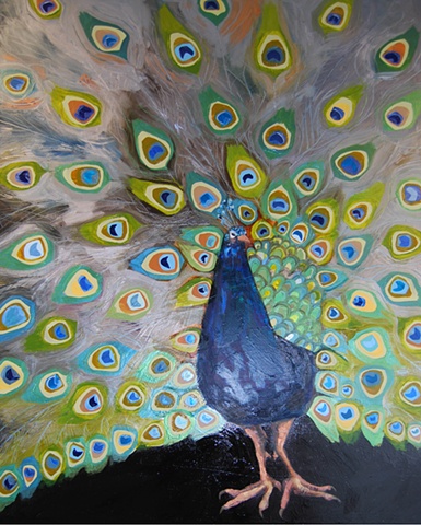 Peacock