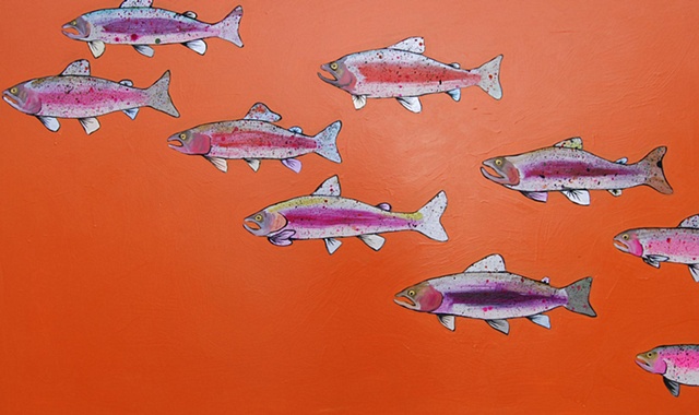 Rainbow Trout in Orange
