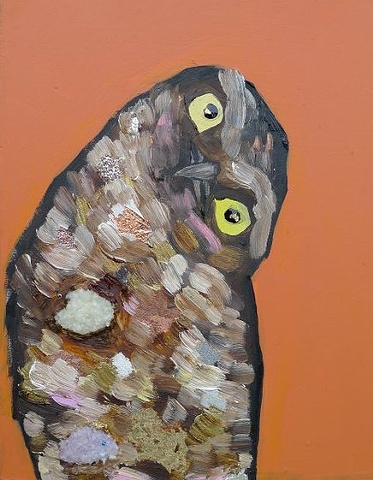 Tiny Burrowing Owl in Pumpkin Orange