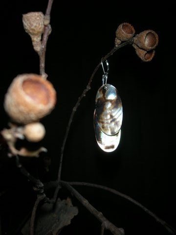 camoflauge shell