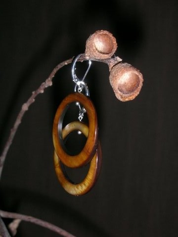 light brown circle shells