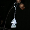 white triangle shells