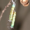 african turquoise