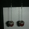 acorn drops