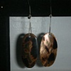 long shell ovals