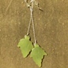 jade leaf drops