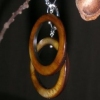 light brown circle shells