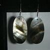 shell ovals