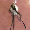 black & white feathers