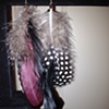 black, black & white, cranberry feathers