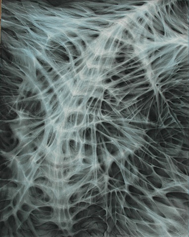 Splash Image