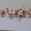 Is this it ? Is this it? Is this...,
Installation at "Cast, Carve, Cut, Construct" at A.I.B.