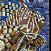 Lion Fish