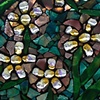 Spring Flowers