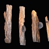 Relics