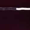 Accumulation Project: Barcodes