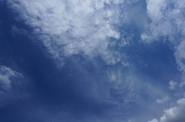 Lynn Sullivan: Sky Hold