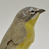 Mary Carlson, "Chat", 2008, 6 x 3 x 3 inches, porcelain 