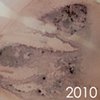 2010