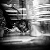 her name is holga