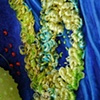 Sea Urchins, detail of embroidery