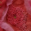 Sea Anemone, detail of embroidery