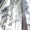 Being (small) in Nature