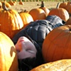 Pumpkin Patch